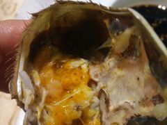 公蟹-大鸭梨烤鸭(左家庄店)