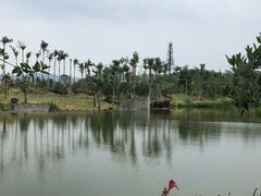 -枫香湖儿童公园