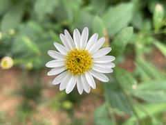 -广州神农草堂中医药博物馆