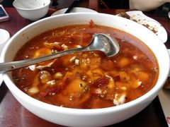 -鸢飞潍坊菜馆(鸢飞大酒店)
