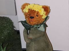 -济州岛泰迪熊博物馆