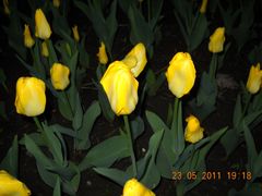 景点-长春公园(普阳街道)