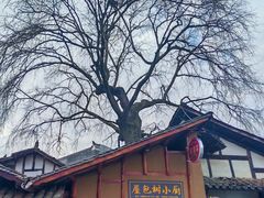 -后柳水乡