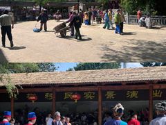 -大槐树寻根祭祖园