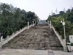 -铁山坪森林公园