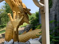 -宜兴龙背山森林公园