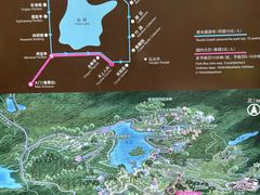 -深圳仙湖植物园