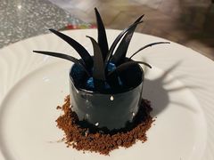 黑凤梨-大树餐厅(红旗街万达店)