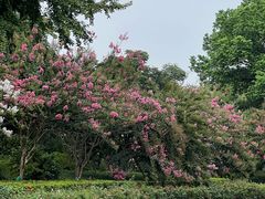 -杭州城北体育公园