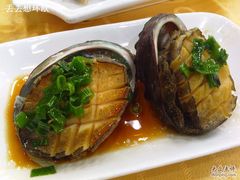 鲍鱼-海岛渔村大酒店(云霄路店)
