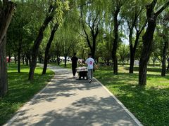 -洨河生态公园