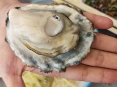 -四海蒸鲜蒸汽海鲜自助(北戴河店)