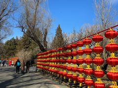 -国家植物园南园