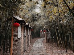 -同里国家湿地公园
