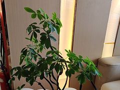 -格林东方酒店(北京国贸四惠高碑店地铁站店)