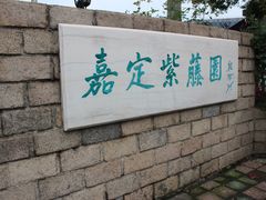 -嘉定紫藤园