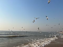 -老虎石海上公园