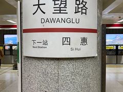 -大望路(地铁站)