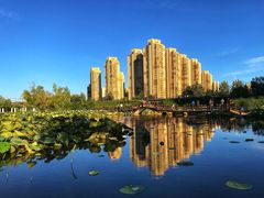 -前关湿地公园