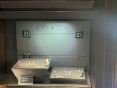 -溥仪眼镜(北京SKP店)