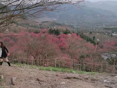 -溪口-滕头旅游景区