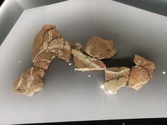 -贵州省博物馆(新馆)