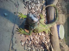 android_upload_pic-上海大自然野生昆虫馆