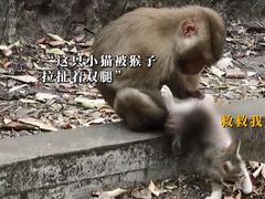 -昆明动物园