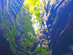 -梭布垭石林景区