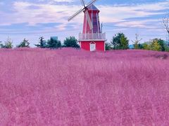 -羊亭河湿地公园