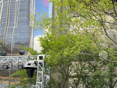 -喜茶(深圳万象前海店)