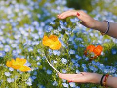 -上海滨江森林公园