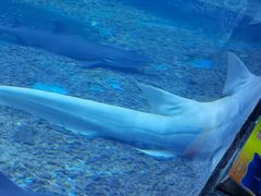 -多彩贵州城极地海洋世界