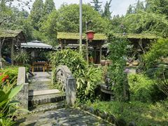 -青城甲(青城山店)