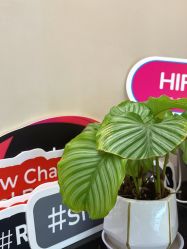 -Fundi张玉珊修身堂·indiba·BTL科技瘦身