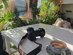 -北平花园·潮玩萌牙·北平咖啡(南锣鼓巷胡同店)