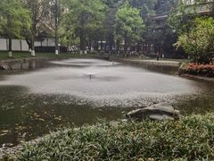 -温江公园