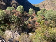 -百里山水画廊乌龙峡谷
