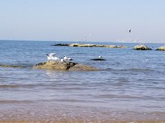 -老虎石海上公园