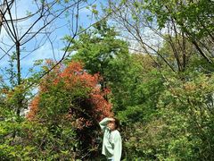 -青龙山国家森林公园