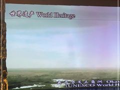 -泰傳奇