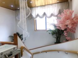 -WENDY·温迪皮肤管理