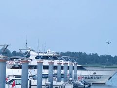 -巧克力渔家.小船海鲜胶东菜(万平口店)