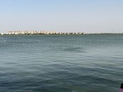 -包头南海湿地景区