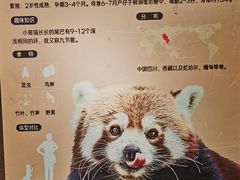 -武汉动物园