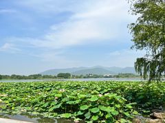 -西山漾湿地公园