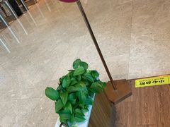 -COSTA COFFEE(静安嘉里中心店)