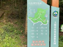 -上海佘山国家森林公园天马山园
