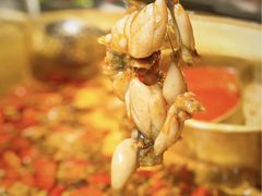 -哥老官重庆美蛙鱼头(宝山龙湖店)