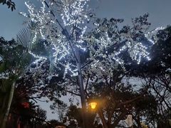 -深圳东部华侨城茵特拉根酒店